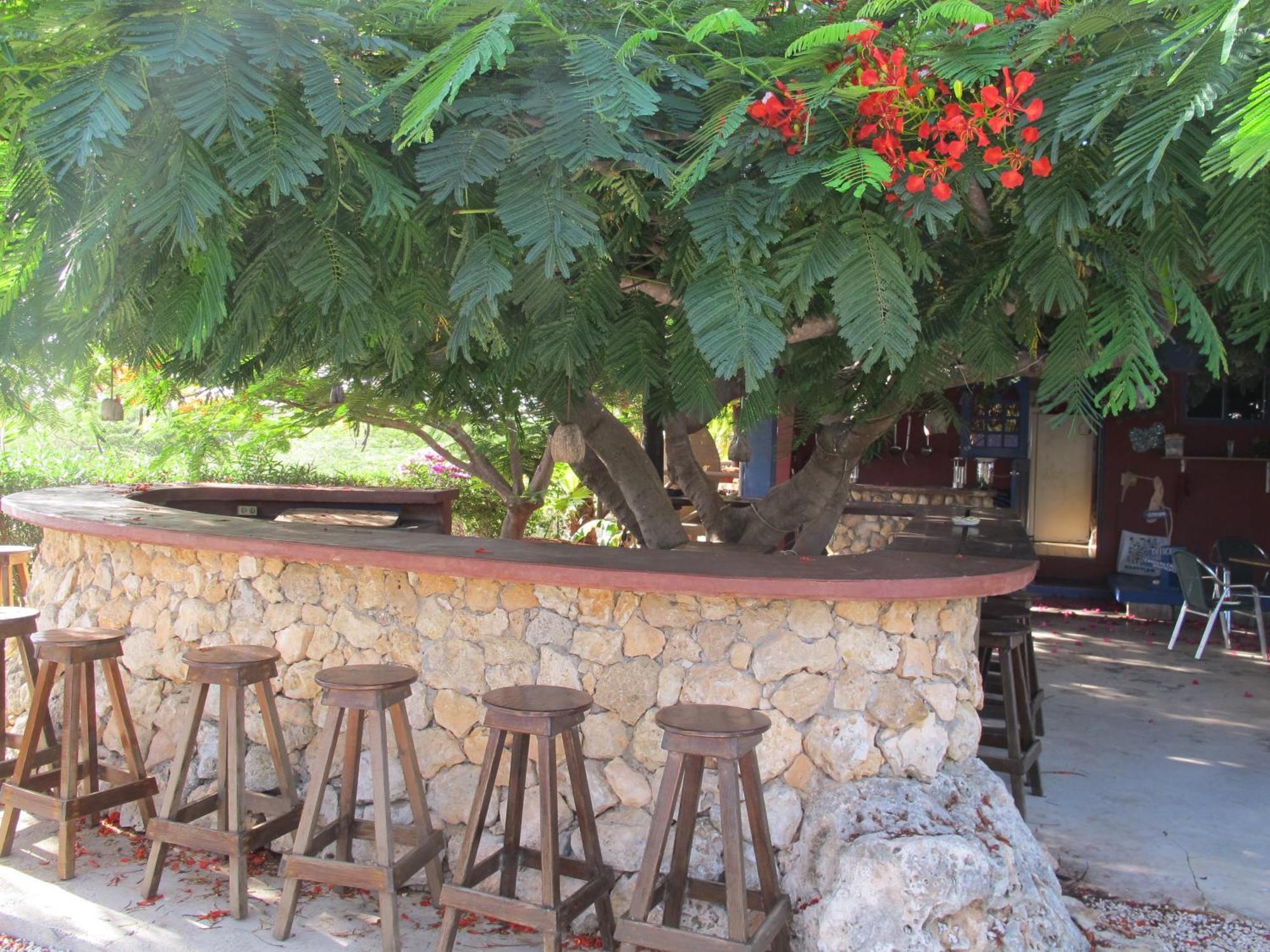 Caribbean Chillout Apartments Playa Extérieur photo