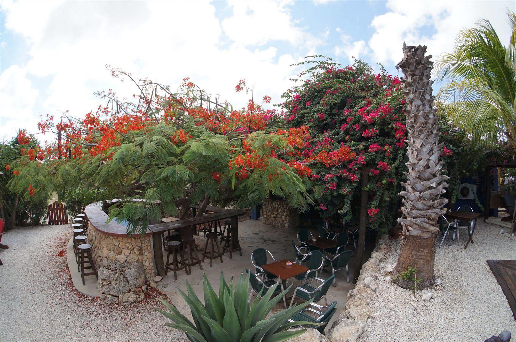 Caribbean Chillout Apartments Playa Extérieur photo