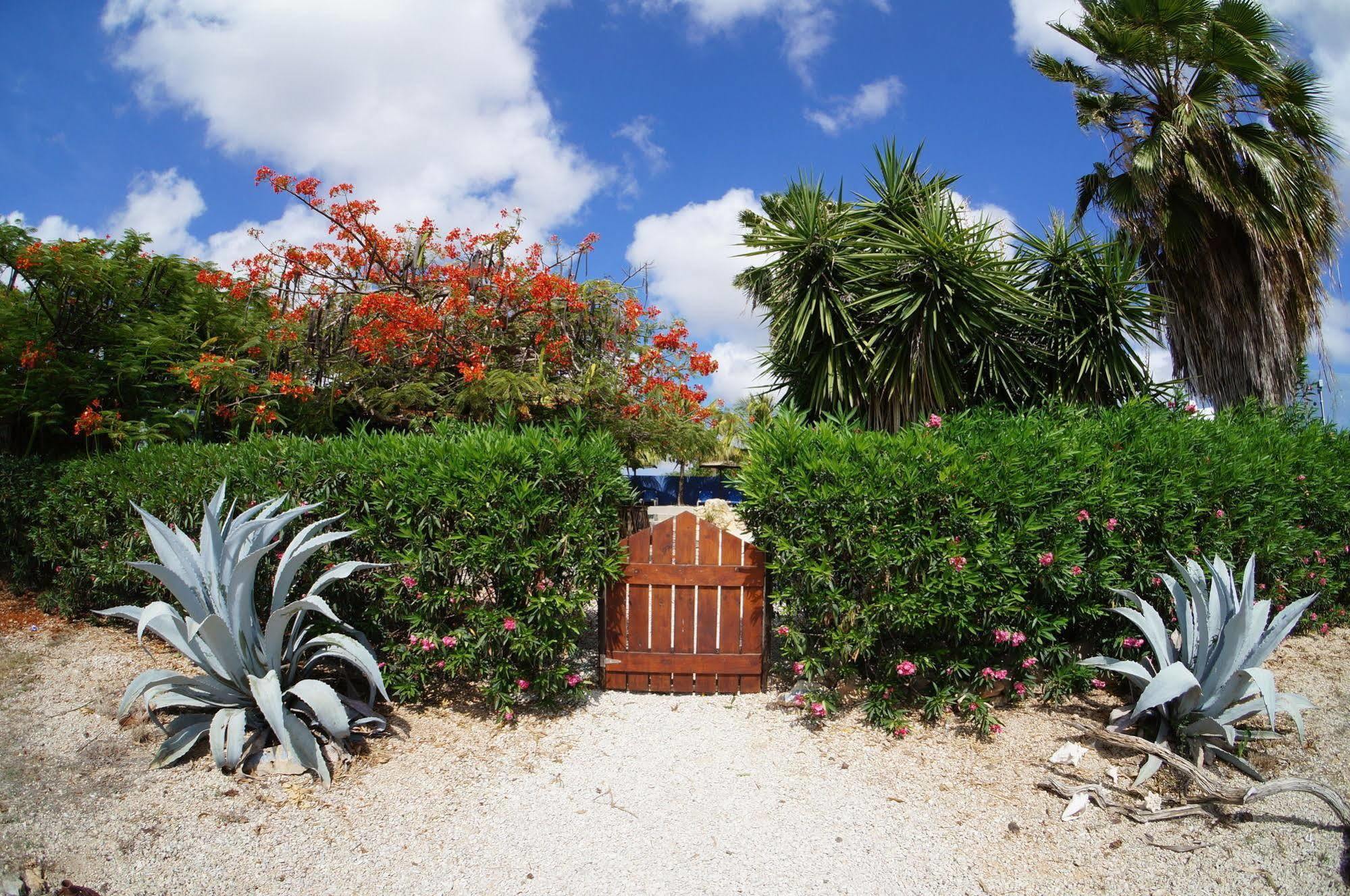 Caribbean Chillout Apartments Playa Extérieur photo