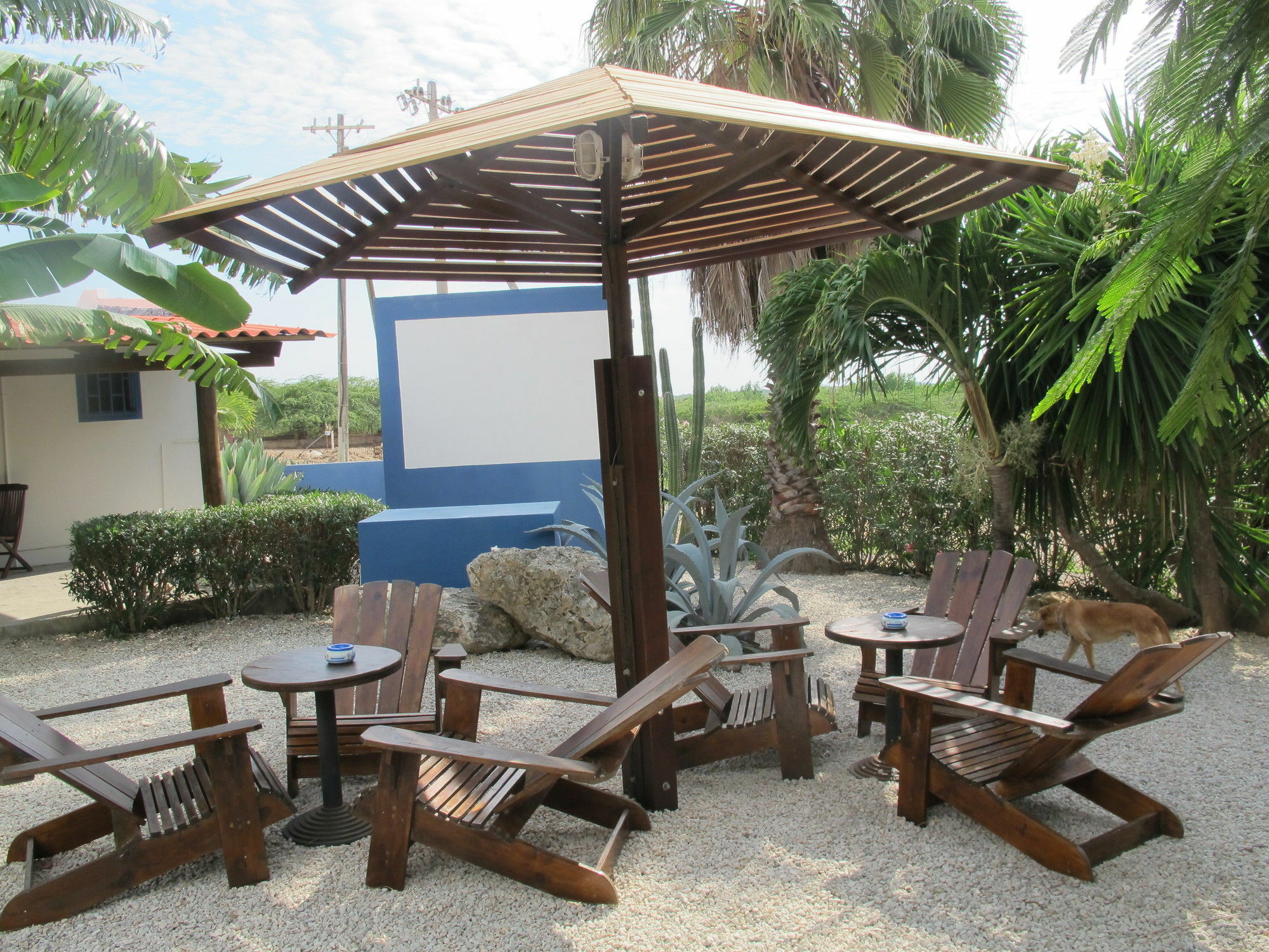 Caribbean Chillout Apartments Playa Extérieur photo