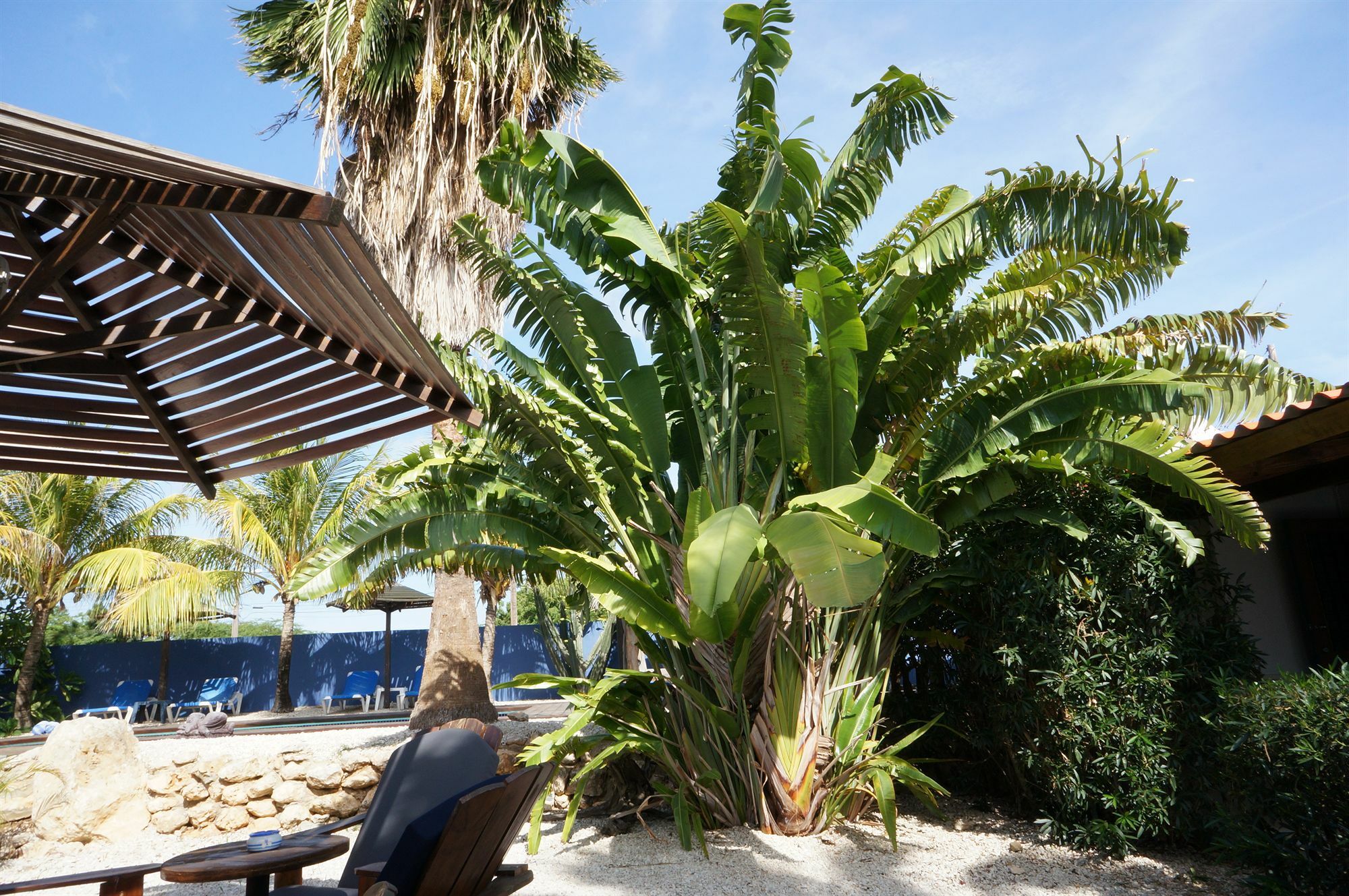 Caribbean Chillout Apartments Playa Extérieur photo